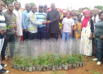 L’ANADEB savane appuie les communes avec 1000 plants