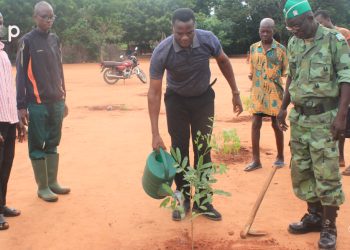 Vo/Environnement : La campagne de reboisement lancée dans le Vo   