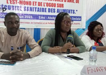 Ogou :  des femmes en formation sur la sécurité sanitaire des aliments