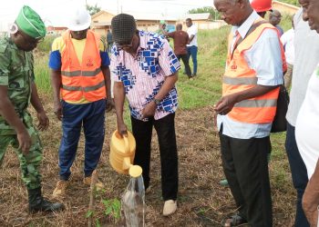 Ogou/campagne de reboisement 2023 : des jeunes plants mis en terre dans les préfectures des plateaux-est