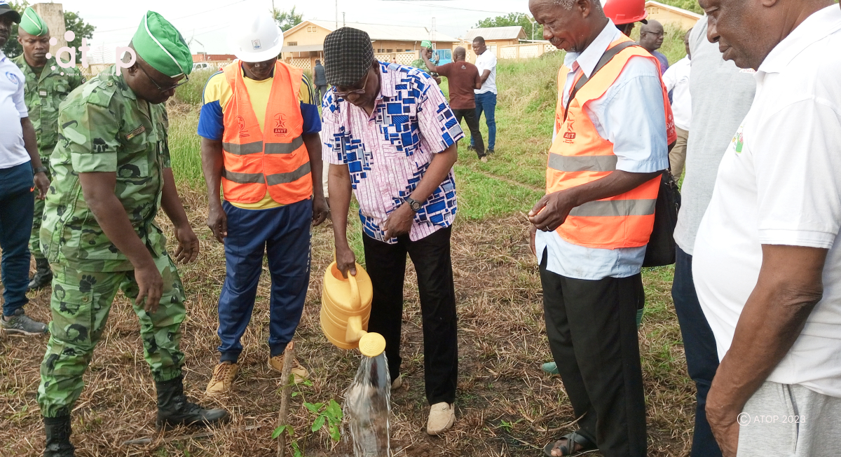 Ogou/campagne de reboisement 2023 : des jeunes plants mis en terre dans les préfectures des plateaux-est 1 Atop.tg des jeunes plants mis en terre dans les prefectures des plateaux est