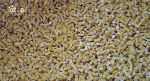 Atop.tg impact economique de la gestion durable des dechets plastiques 4