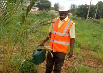 Lacs/ journée nationale de l’arbre 2023 : la SNPT met en terre 1 600 plants