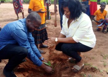 Zio / environnement : l’association alumni Yali de Dakar au Togo (AYDAT) met en terre 250 plants au CEG ville 5