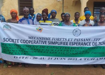 Tchamba/Pratiques agroécologiques et techniques de production de plants : la Scoops Espérance renforce les capacités de ses membres