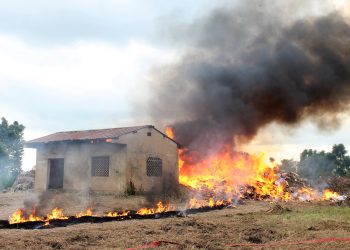 Journée internationale contre l’abus et le trafic illicite des drogues : des produits illicites saisis incinérés à Lomé