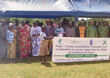 Danyi/ le projet de plantation d’avocatiers dans dix villages de la préfecture lancé à Dzogbegan