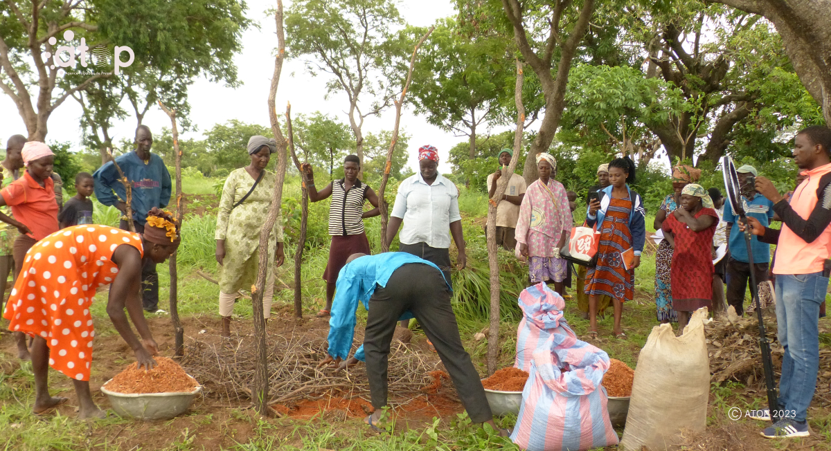 Atop.tg La cooperative Essosolim formee sur la fabrication et lutilisation du compost 2