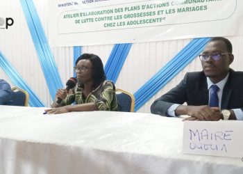 Lutte contre les grossesses et les mariages chez les adolescentes :  des membres des cellules communautaires de l’Ogou élaborent leurs plans d’actions