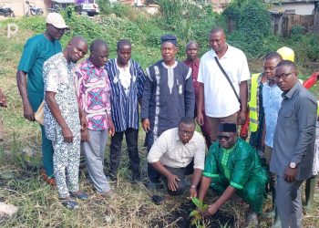 Kloto/environnement :  l’ UCRM du Togo reboise le site de l’ancien abattoir de Kpalimé
