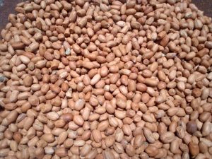 Atop.tg Comment optimiser la production larachide au Togo 1