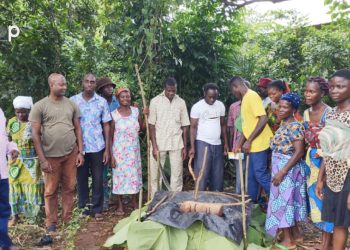 Yoto/ techniques d’irrigation et exploitation rationnelle des sols : des agriculteurs maraichers formés