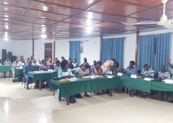 Kloto/stratégies pédagogiques et gestion de la classe:  des enseignants membres de la FESEN en formation à Kpalimé
