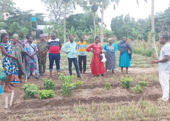 Kloto/techniques de production des semences locales :  des producteurs renforcent leurs capacités