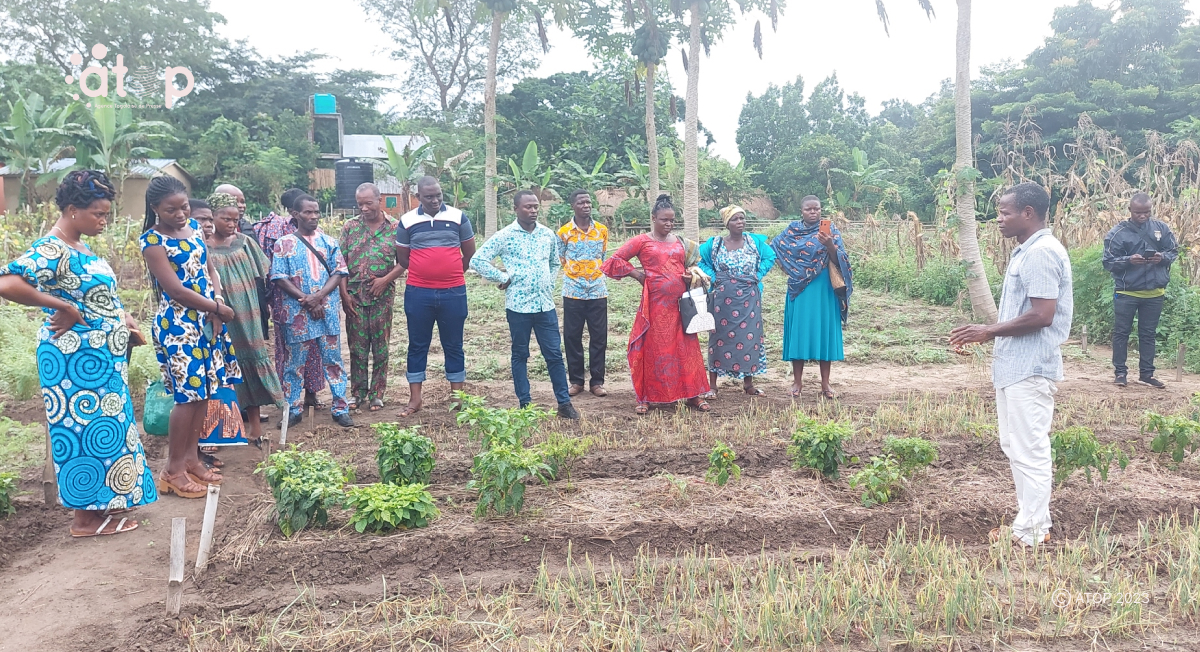 Atop.tg des producteurs renforcent leurs capacites