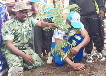 Ogou/Operation de reboisement : le mouvement Faure est grand a mis en terre 150 jeunes plants de senna siamea à Gleï
