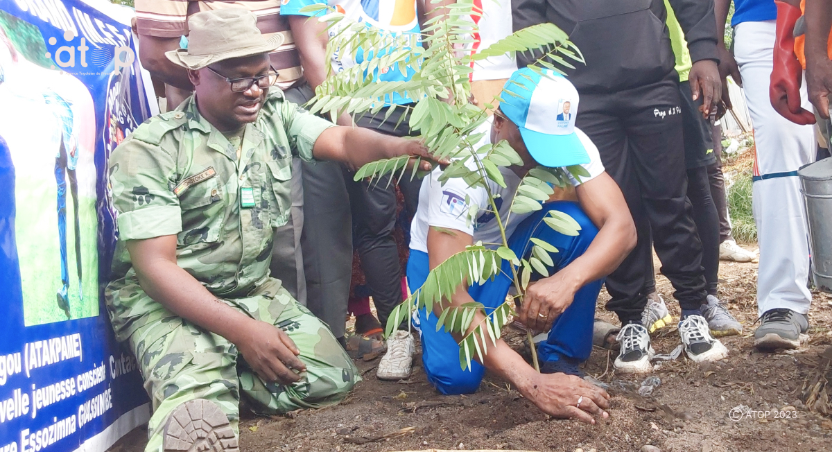 Atop.tg le mouvement Faure est grand a mis en terre 150 jeunes plants de senna siamea a Glei