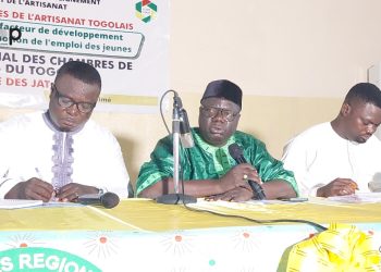 Développement harmonieux et inclusif de l’artisanat togolais:  les acteurs réfléchissent sur les décisions de l’Assemblée consulaire de Dapaong
