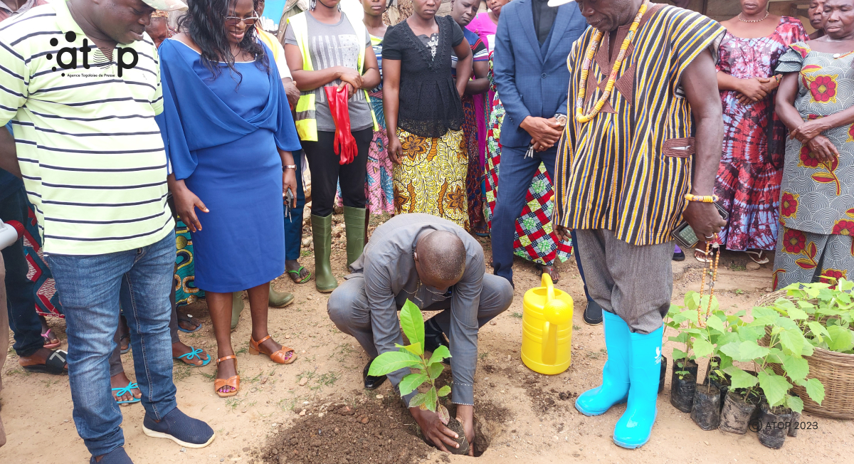 Atop.tg plus de 152 plants mis en terre a Dzogbegan