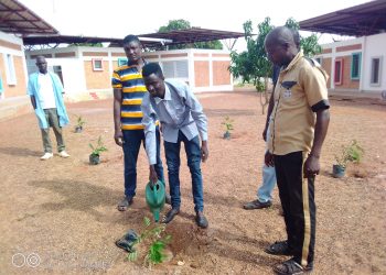 Cinkassé/ reboisement : l’APSET a mis en terre des plants dans les formations sanitaires