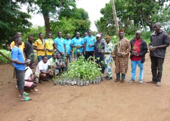 Kozah/ protection de l’environnement : la JPCS met en terre 2000 plants à Tchare et à Landa