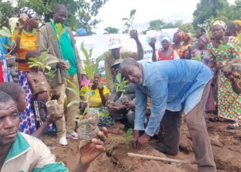 Tchamba/Lutte contre les changements climatiques : la population de Kitangoli sensibilisée sur les essences de valeurs