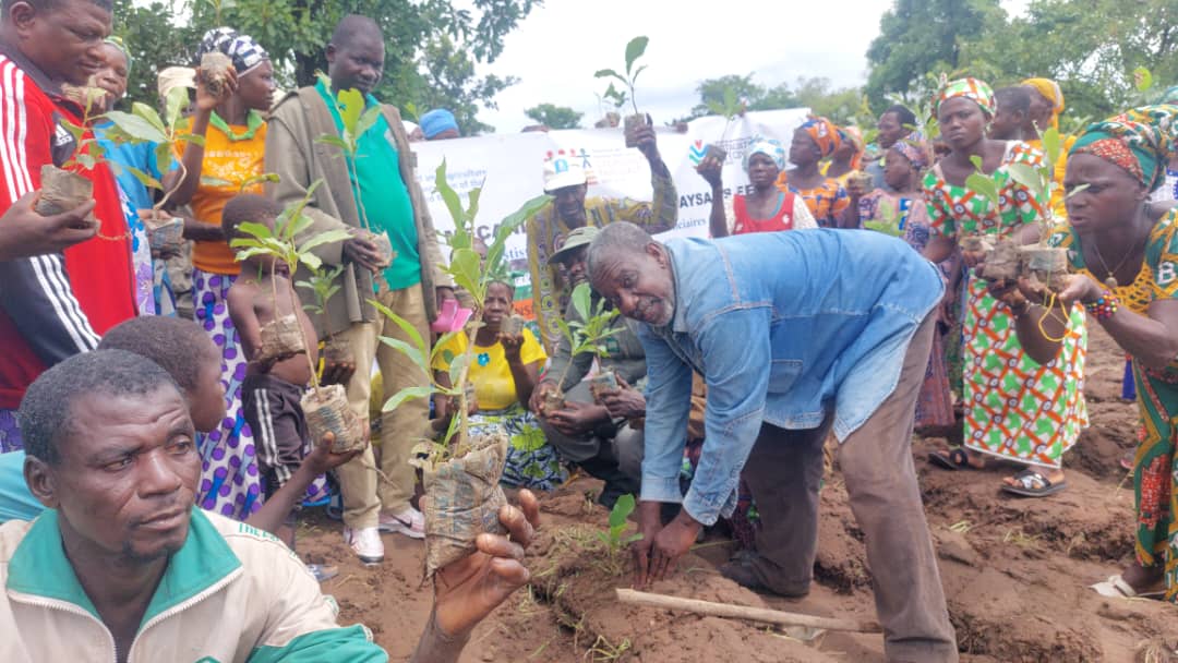 les populations mettent en terre des plants