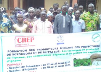 Sotouboua/Pour une augmentation des rendements en quantité et en  qualité :  60 producteurs d’ignames renforcent leurs compétences