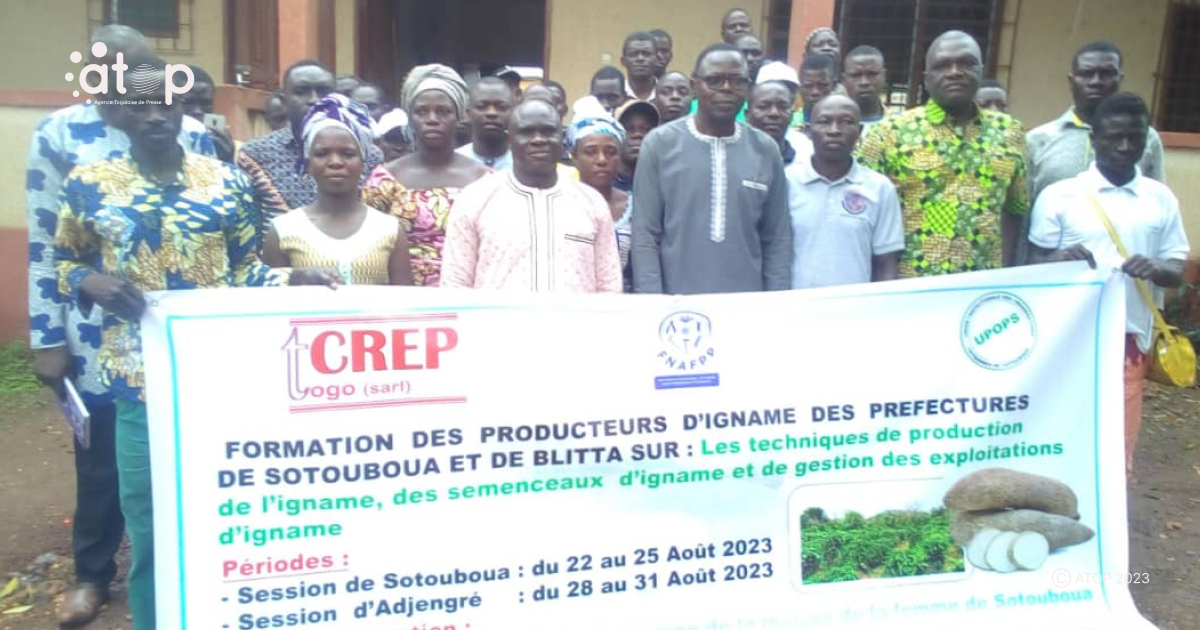 Atop.tg 60 producteurs dignames renforcent leurs competences