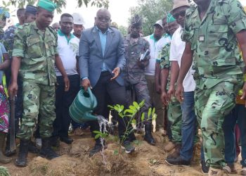 Bassar/campagne nationale de reboisement 2023:   plus de 18.000 plants mis en terre à Bougabou