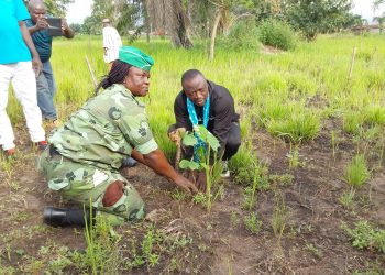 Ogou/ reboisement : 100 jeunes plants de Melina mis en terre à Datcha