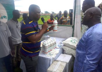 Entreprenariat agricole/Sotouboua abrite la 1ère édition du Salon de l’agroalimentaire et du financement agricole