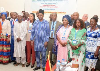 En prélude à la 14è conférence des ministres en charge de la formation professionnelle : Des experts et points focaux en réunion à Lomé