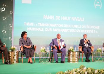 Faire du secteur prive le véritable moteur de l’économie nationale : Le Togo organise sa première journée nationale du partenariat