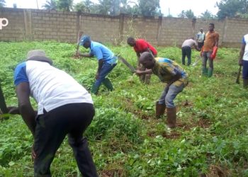 Sotouboua/Opération « Togo propre » : Le Centre hospitalier préfectoral et les abords de la RN1  nettoyés