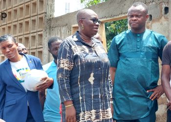 Yoto :  supervision des interventions d’ANADEB:  la ministre Myriam Dossou-d’Almeida a visité des chantiers