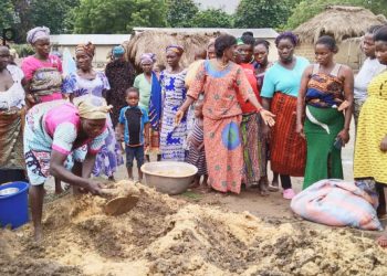 Avé/Gestion durable de la foret communautaire:  Un « camp féminin pour le climat et la participation citoyenne » à Ando Akpuivé