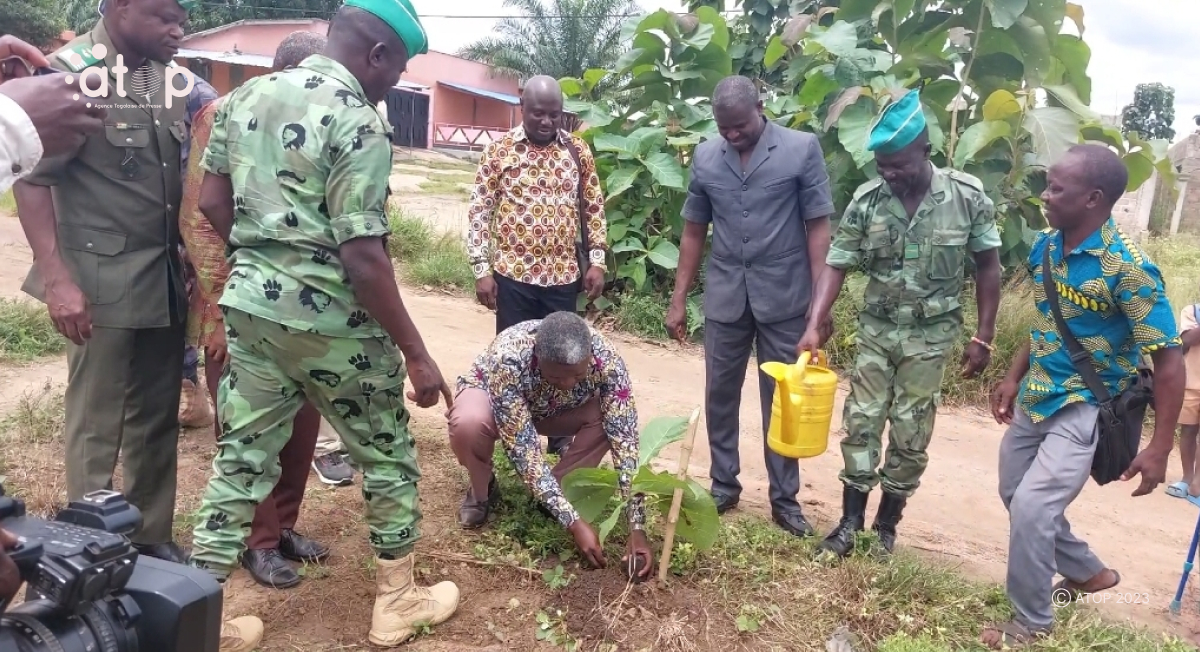 Atop.tg les operations de reboisements 2023 evaluees dans le Haho et Moyen Mono