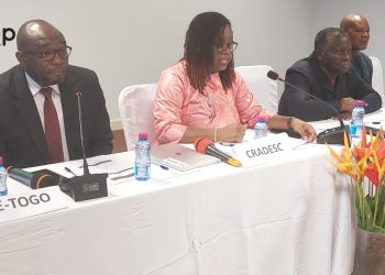 Projet d’appui stratégique aux travailleuses domestiques : atelier de partage des résultats préliminaires de l’étude nationale sur le Togo