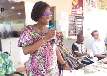 Ogou/transferts monétaires dans la région des Plateaux : une mission de suivi des actions du projet financement additionnel aux filets sociaux de base à Gamé et Bato