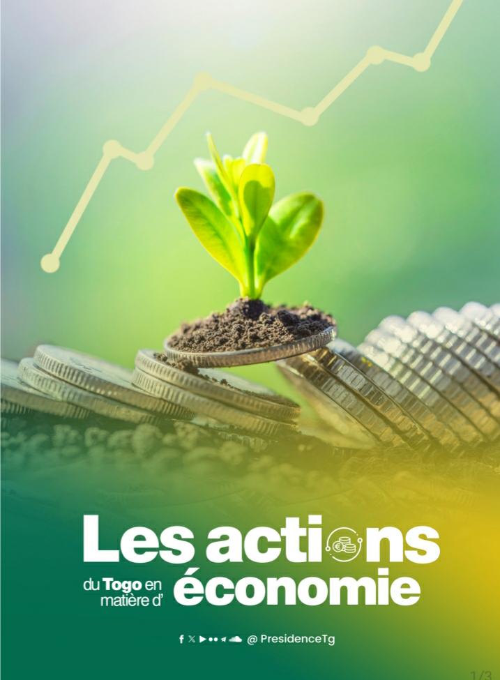 Le gouvernement togolais adopte un collectif budgétaire 1 eco