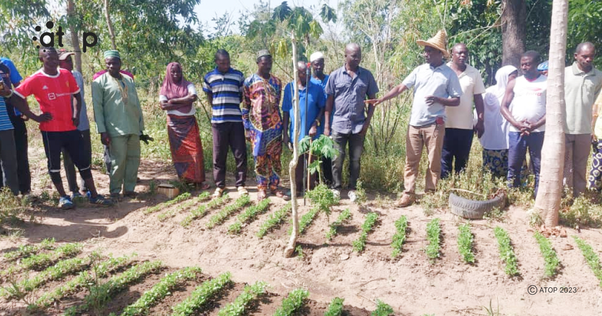 Atop.tg Les membres de la cooperative Albarka renforcent leurs competences