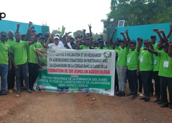 Kloto/Employabilité des jeunes dans l’agroécologie:  Une mission de la commission de la CEDEAO en visite au CIRAB 