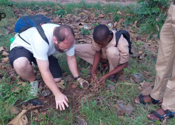 Kloto/campagne de reboisement: le club de l’environnement du lycée de Zomayi et les amis de la nature d’Allemagne mettent en terre des plants