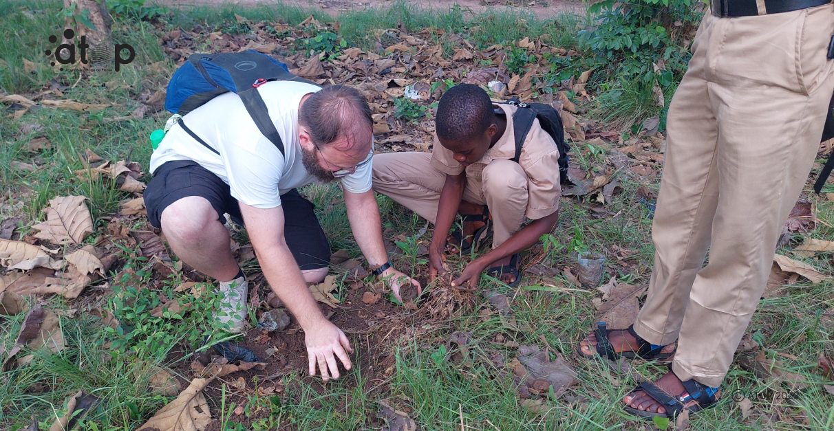 Atop.tg le club de lenvironnement du lycee de Zomayi et les amis de la nature dAllemagne mettent en terre des plants