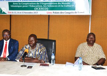 Introduction des TIC dans l’éducation :  les acteurs impliqués en formation