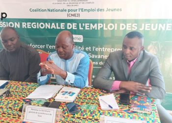 Tone/ lutte contre le chômage :  l’état des lieux de l’emploi des jeunes dans les savanes validé