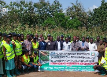 Kloto : des jeunes exploitants agricoles se forment aux pratiques d’agriculture biologique