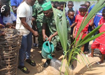 Environnement :  100 plants de cocotiers mis en terre a la plage de Lomé