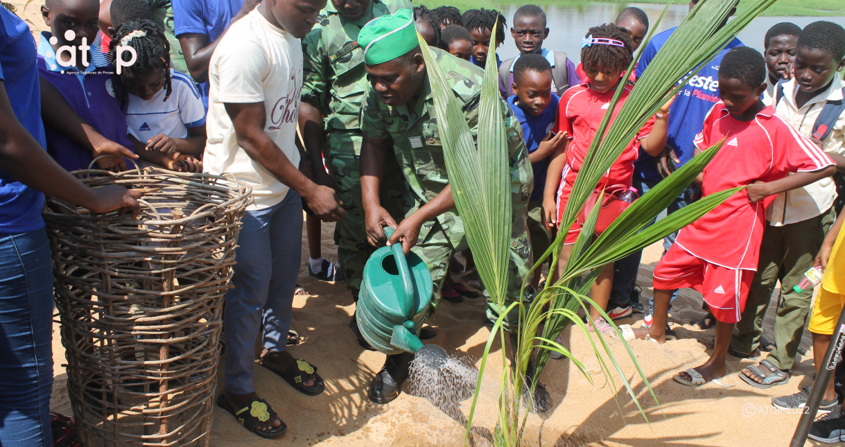 Atop.tg 100 plants de cocotiers mis en terre a la plage de Lome